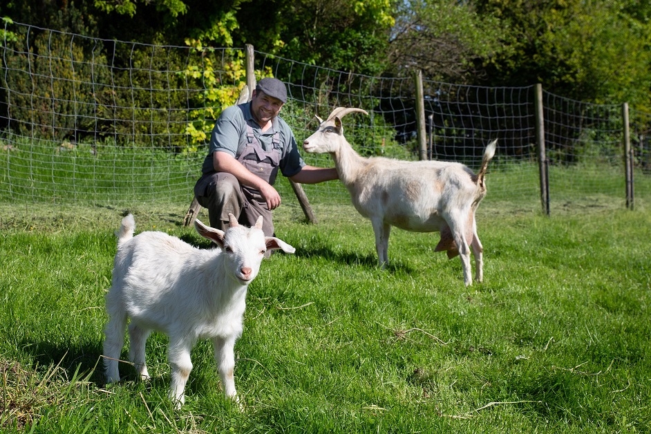 Frische Ziegenmilch vom Hobby-Landwirt