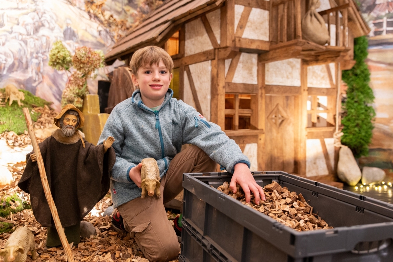 Laurenz (8) hilft schon das zweite Jahr in Folge bei dem Krippenaufbau mit. Es macht ihm großen Spaß.