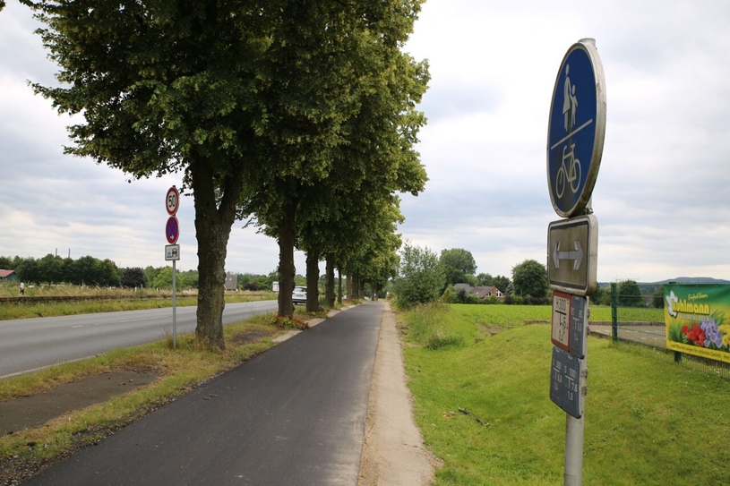 Ein rund 220 Meter langes Teilstück des Radwegs an der Bottroper Straße wurde saniert. Wurzelschäden können künftig dennoch wieder entstehen.