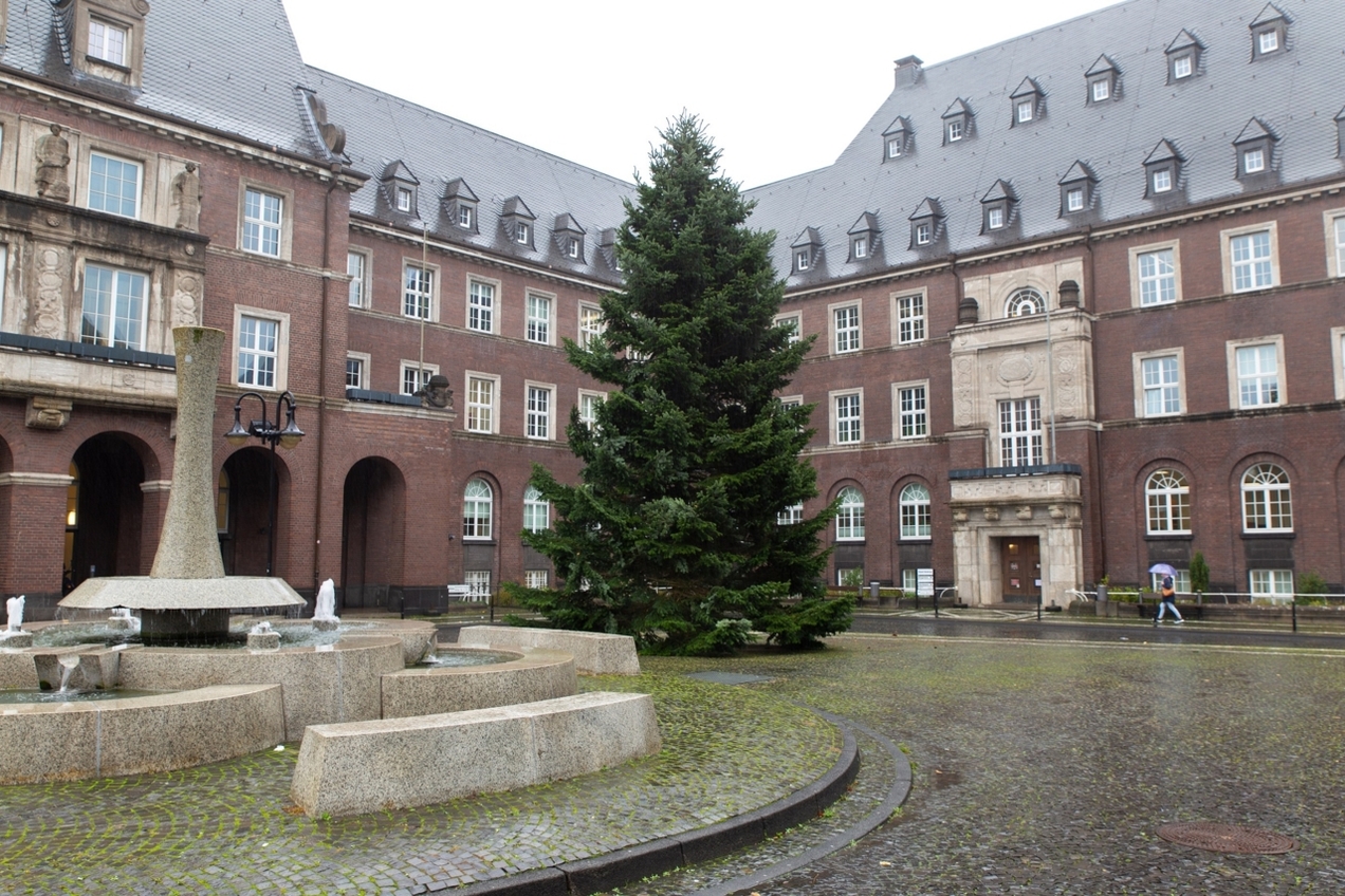 Der rund 14 Meter hohe Tannenbaum wurde am Montagmorgen auf dem Rathausplatz aufgestellt. Der „frühe“ Zeitpunkt hat logistische Gründe.
