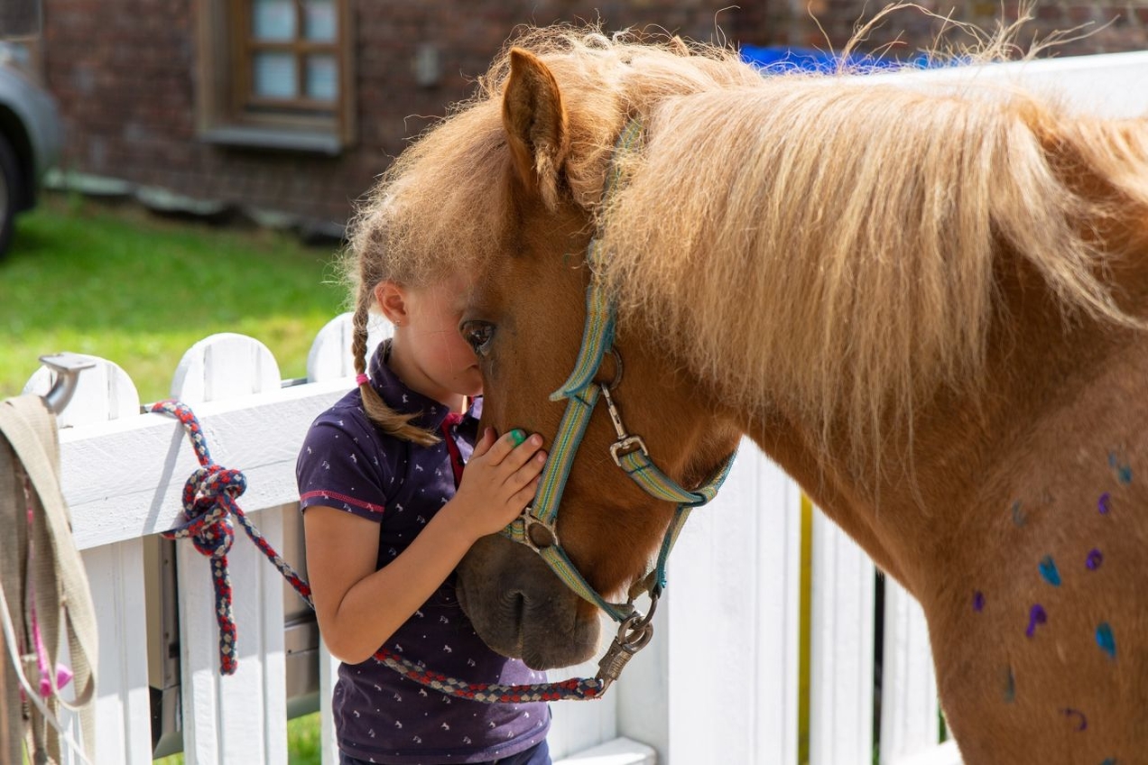 Auf der Reitfreizeit lernten die teilnehmenden Kinder den richtigen Umgang mit Pferden. Einige legten auch eine Kuschelzeit ein.
