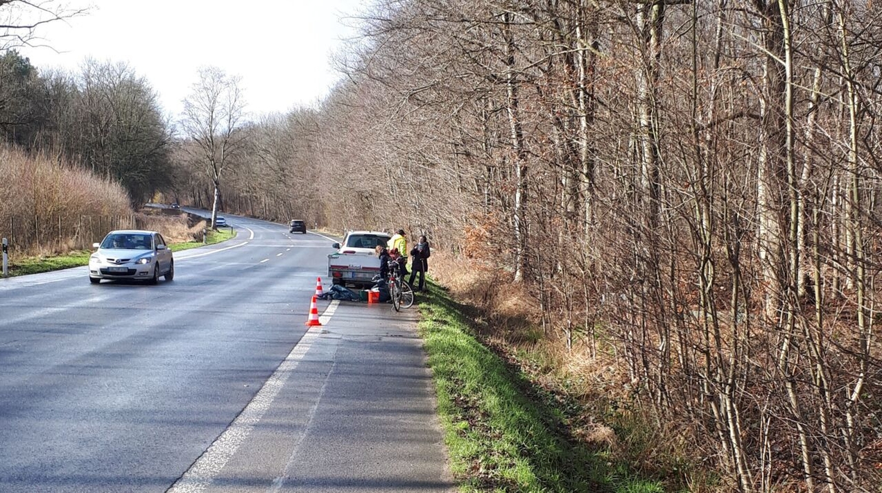 Autofahrer werden gebeten, in Gegenden, in denen Kröten unterwegs sein könnten, bedacht zu fahren.