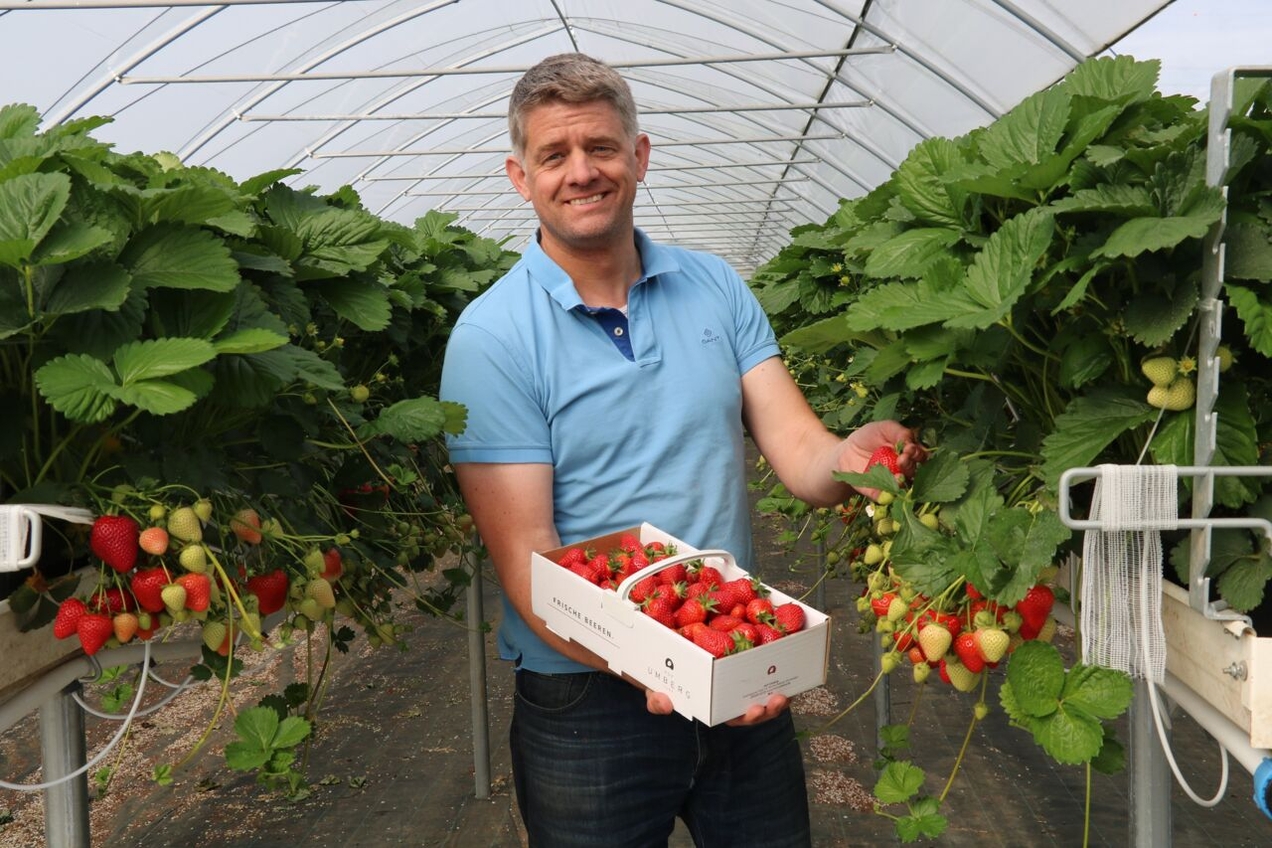 Die traurige Prognose von Jörg Umberg: „Spargel und Erdbeeren – es wird generell weniger deutsche Feldfrüchte geben, weil die Kosten einfach davonlaufen.“