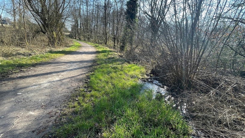 Trotz trockener Tage: Am Verbindungsweg Schlehdorn in Grafenwald steht das modrige Wasser. Regnet es einige Tage stärker, steht der ganze Bereich regelmäßig unter Wasser.