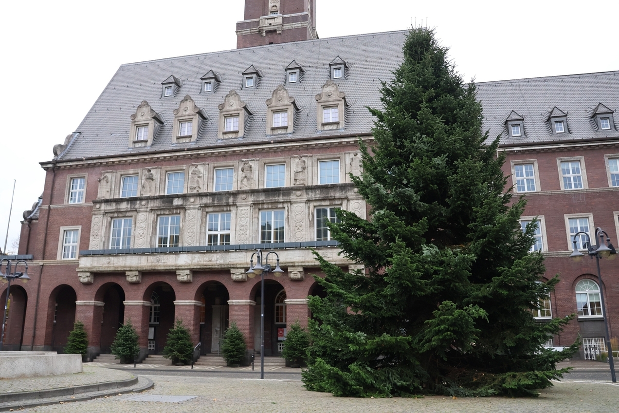 Rathaus-Weihnachtsbaum steht und läutet Vorweihnachtszeit in Bottrop ein