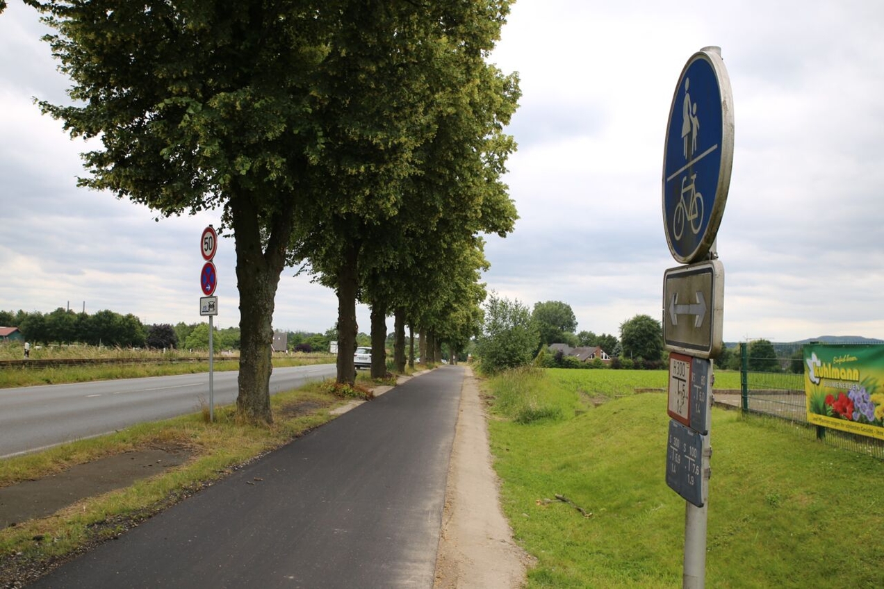 Ein rund 220 Meter langes Teilstück des Radwegs an der Bottroper Straße wurde saniert. Wurzelschäden können künftig dennoch wieder entstehen.