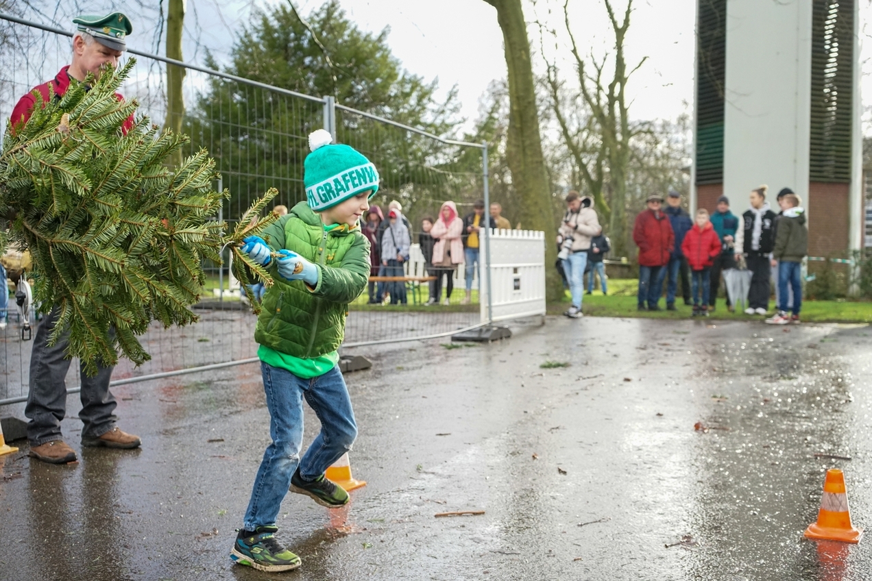 An die Tannen, fertig, los! Erwachsene und Kinder versuchen Anfang Januar wieder das stachelige Grün so weit wie möglich zu schleudern.