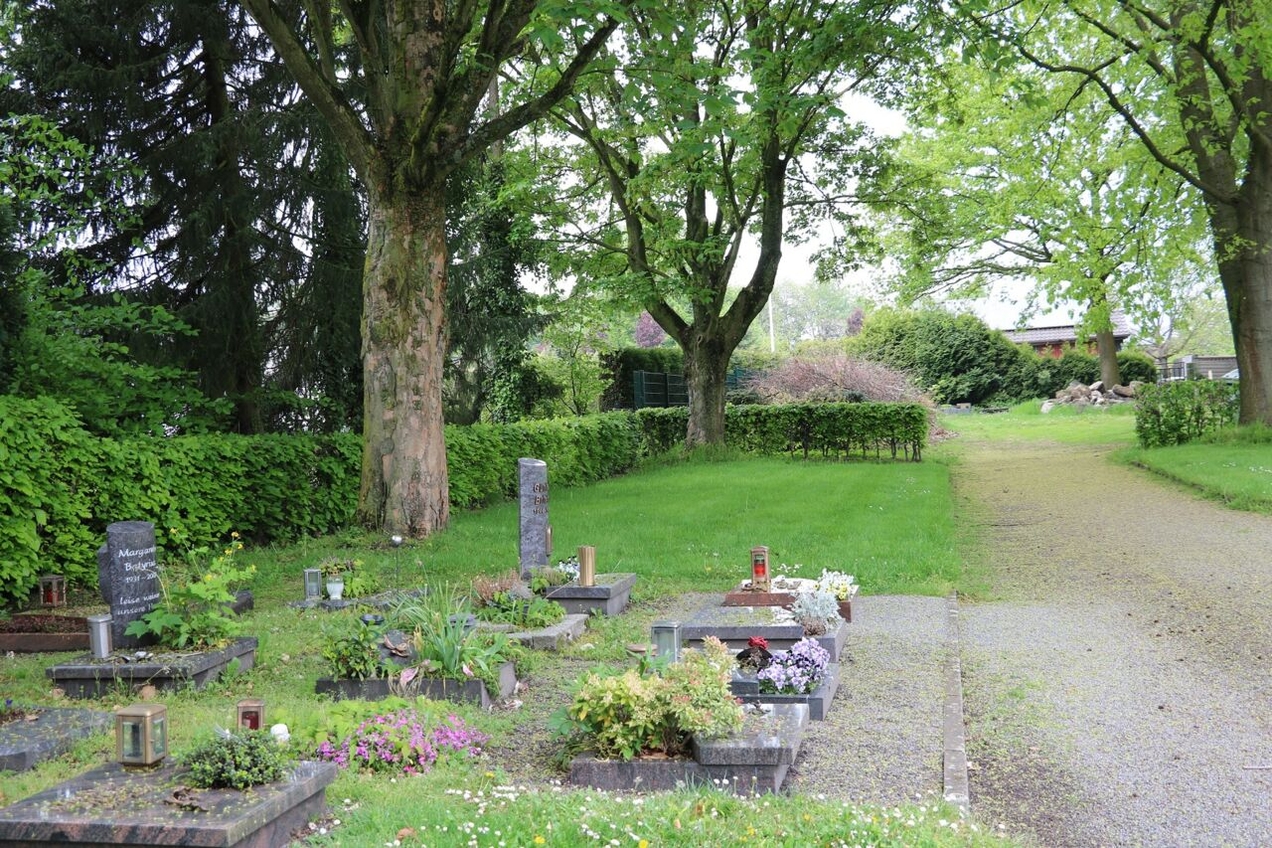 Friedhof Grafenwald wird zur Heimat von Wildbienen