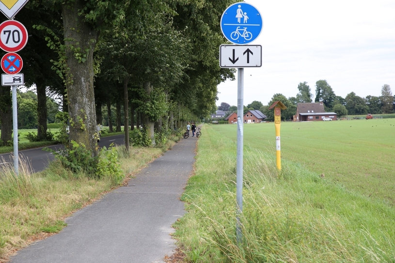 Fast um einen ganzen Meter ist die Breite des Radweges an der Feldhausener Straße durch den Bewuchs eingeschränkt.
