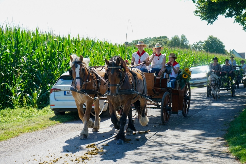 Kutsche Nummer Eins machte ihrer Startnummer alle Ehre und belegte den ersten Platz. Helene Nothelle führte in einem Jagdwagen die zwei Kaltblüter.