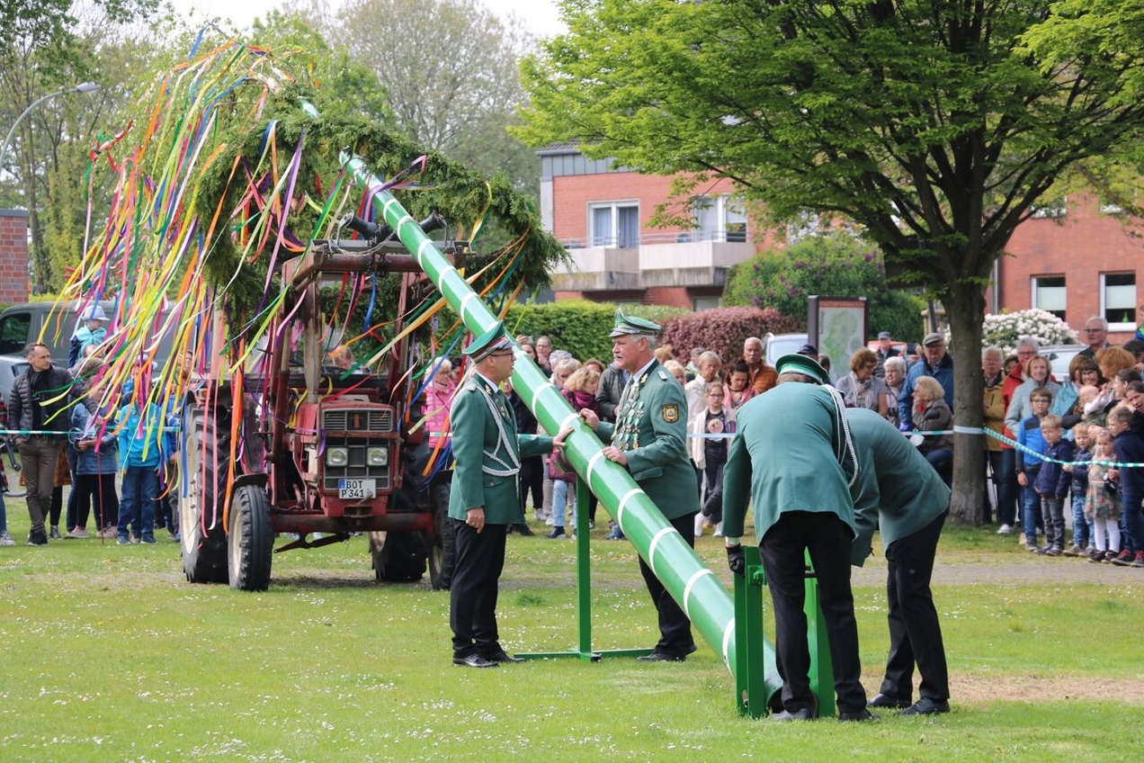 Schützenverein Grafenwald stellt den Maibaum auf