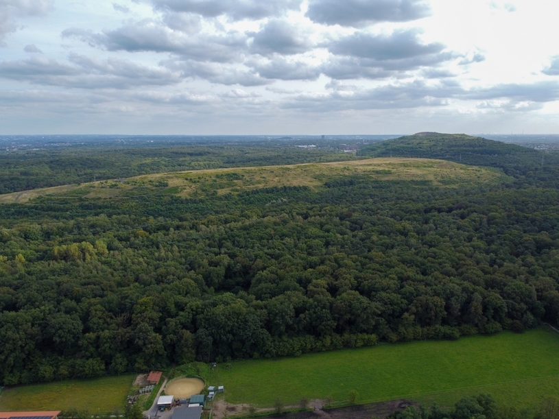 Rund 62 Hektar weitestgehend unberührte Natur bietet in Grafenwald Lebensraum für zahlreiche seltene Tier- und Pflanzenarten.