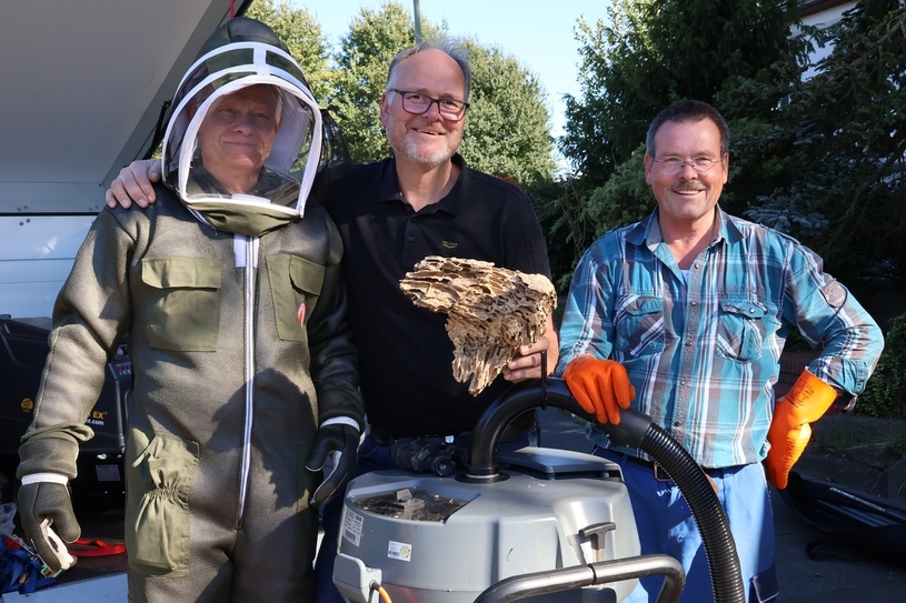 Die Imker (v.l.) Thomas Kurth, Hans-Helmut Schmücker und Frank Goretzky zeigen ein Bruchstück des entfernten Nests aus Grafenwald.